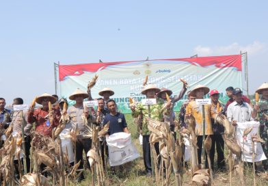 Kapolres Lamongan Ikuti Panen Raya Jagung Serentak secara Virtual Bersama Presiden RI dan Kapolri
