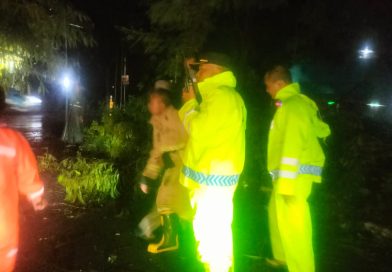 Quick Respon Polsek Babat Tangani Pohon Tumbang Akibat Hujan Deras