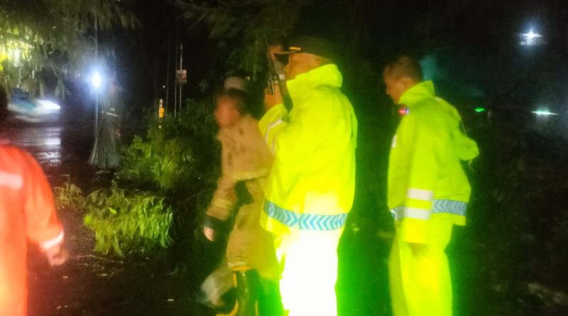 Quick Respon Polsek Babat Tangani Pohon Tumbang Akibat Hujan Deras