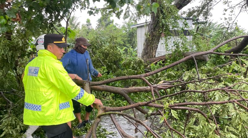 Polres Lamongan Hadir untuk Masyarakat, Respon Cepat 110 Pohon Tumbang hingga Evakuasi Dampak Puting Beliung