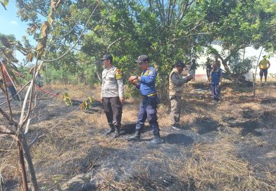 Respon Cepat Polres Lamongan Tangani Kebakaran Lahan, Diduga Akibat Puntung Rokok Respon Cepat Polres Lamongan Tangani Kebakaran Lahan, Diduga Akibat Puntung Rokok